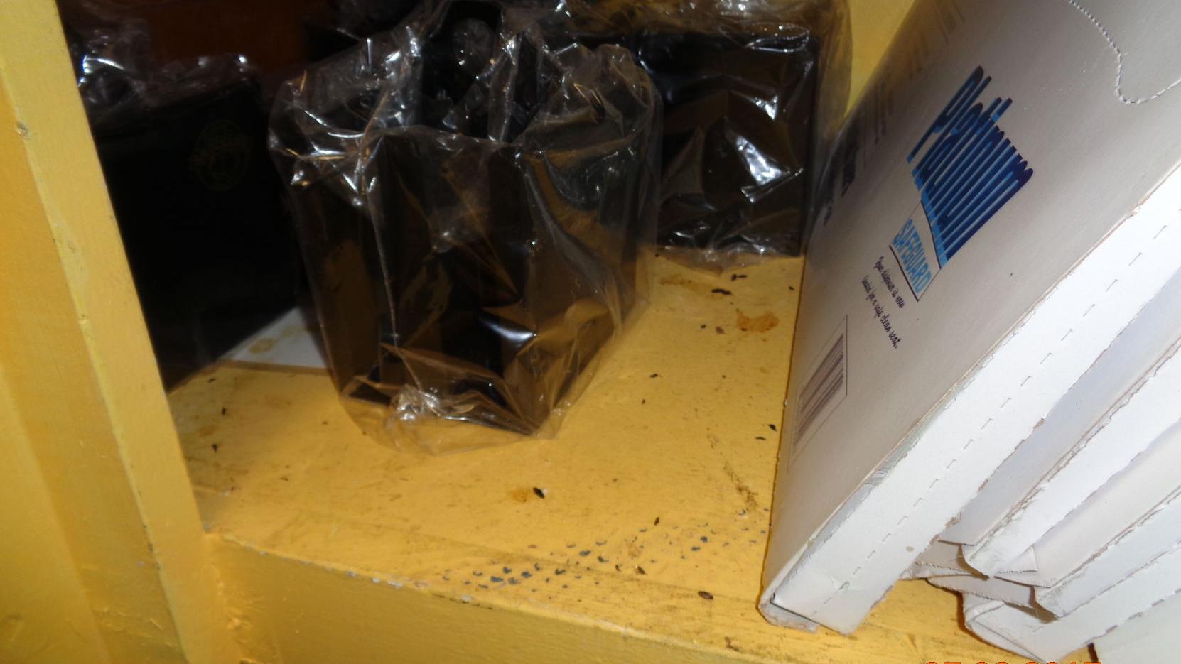 Rodent droppings, clogged sink among reasons 14 restaurants fail July health inspections